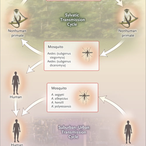 nejmra1602113_f2